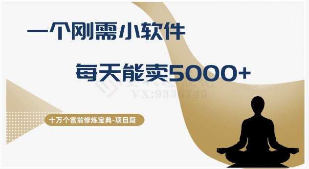 十万个富翁修炼宝典之17.一个刚需小软件，每天能卖5000+网赚项目-副业赚钱-互联网创业-独家轻创IP星泽云创