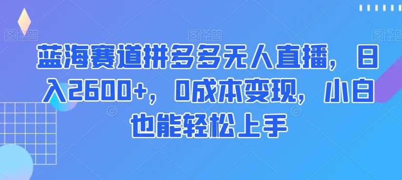 蓝海赛道拼多多无人直播，日入2600+，0成本变现，小白也能轻松上手【揭秘】网赚项目-副业赚钱-互联网创业-独家轻创IP星泽云创