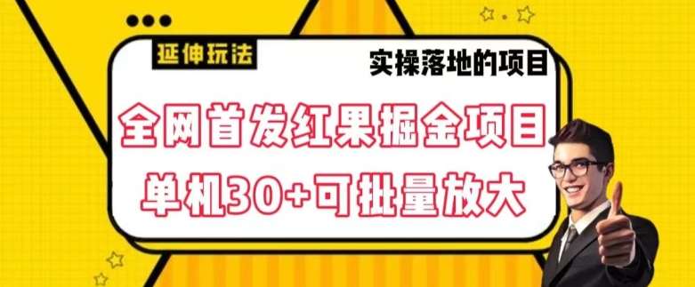全网首发红果免费短剧掘金项目，单机30+可批量放大【揭秘】网赚项目-副业赚钱-互联网创业-独家轻创IP星泽云创