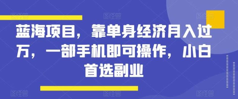蓝海项目，靠单身经济月入过万，一部手机即可操作，小白首选副业【揭秘】网赚项目-副业赚钱-互联网创业-独家轻创IP星泽云创