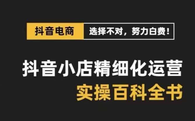 抖音小店精细化运营百科全书，保姆级运营实操讲解网赚项目-副业赚钱-互联网创业-独家轻创IP星泽云创