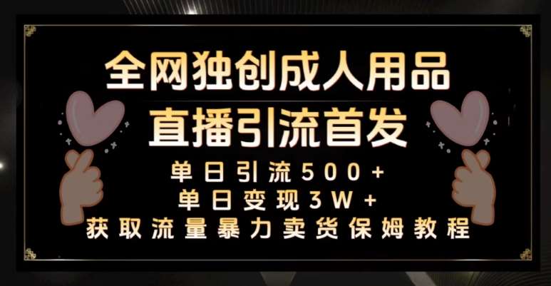 全网独创真人主播+无人直播单日引流500+，橙人用品暴力卖货单日变现3W+保姆似教学2.0【揭秘】网赚项目-副业赚钱-互联网创业-独家轻创IP星泽云创