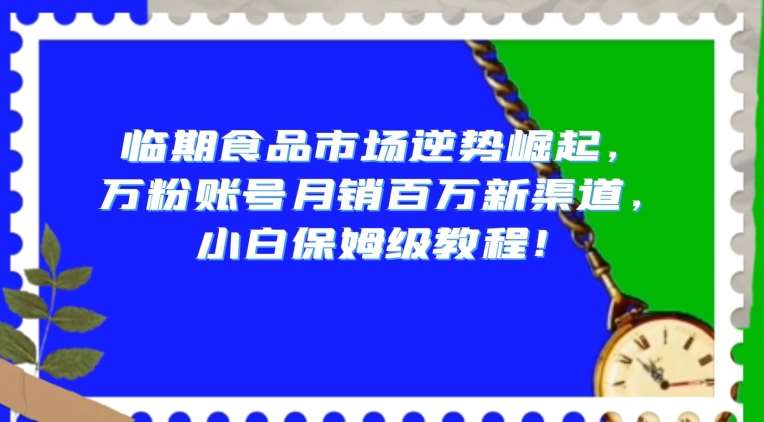 临期食品市场逆势崛起，万粉账号月销百万新渠道，小白保姆级教程【揭秘】网赚项目-副业赚钱-互联网创业-独家轻创IP星泽云创