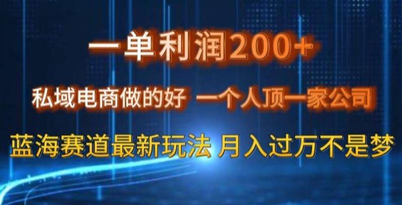 一单利润200私域电商做的好，一个人顶一家公司蓝海赛道最新玩法【揭秘】网赚项目-副业赚钱-互联网创业-独家轻创IP星泽云创