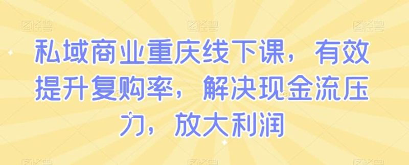 私域商业重庆线下课，有效提升复购率，解决现金流压力，放大利润网赚项目-副业赚钱-互联网创业-独家轻创IP星泽云创