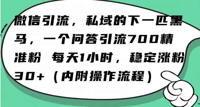 怎么搞精准创业粉？微信新赛道，每天一小时，利用Ai一个问答日引100精准粉网赚项目-副业赚钱-互联网创业-独家轻创IP星泽云创