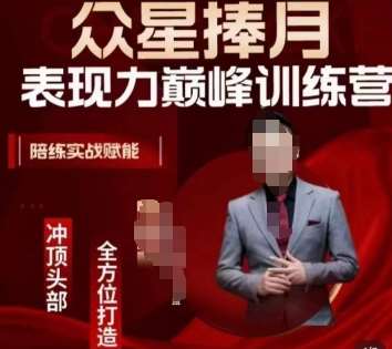 众星捧月表现力巅峰训练营，全方位打造，陪练实战赋能网赚项目-副业赚钱-互联网创业-独家轻创IP星泽云创
