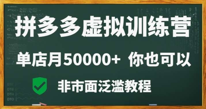 拼多多虚拟电商训练营月入30000+你也行，暴利稳定长久，副业首选网赚项目-副业赚钱-互联网创业-独家轻创IP星泽云创