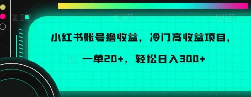 小红书账号撸收益，冷门高收益项目，一单20+，轻松日入300+【揭秘】网赚项目-副业赚钱-互联网创业-独家轻创IP星泽云创
