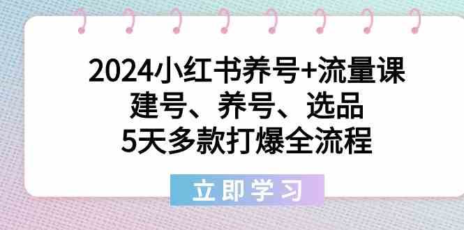 2024小红书养号+流量课：建号、养号、选品，5天多款打爆全流程网赚项目-副业赚钱-互联网创业-独家轻创IP星泽云创