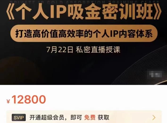 个人IP吸金密训班，打造高价值高效率的个人IP内容体系（价值12800元）网赚项目-副业赚钱-互联网创业-独家轻创IP星泽云创