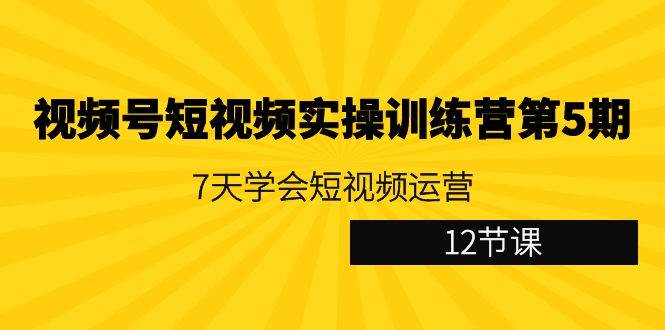 视频号短视频实操训练营第5期：7天学会短视频运营（12节课）网赚项目-副业赚钱-互联网创业-独家轻创IP星泽云创