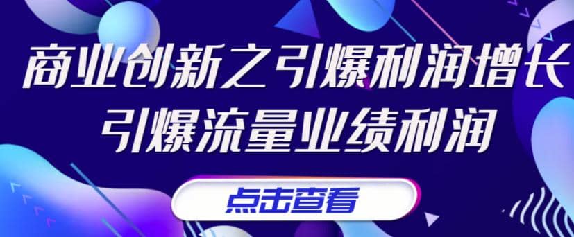 《商业创新之引爆利润增长》引爆流量业绩利润网赚项目-副业赚钱-互联网创业-独家轻创IP星泽云创