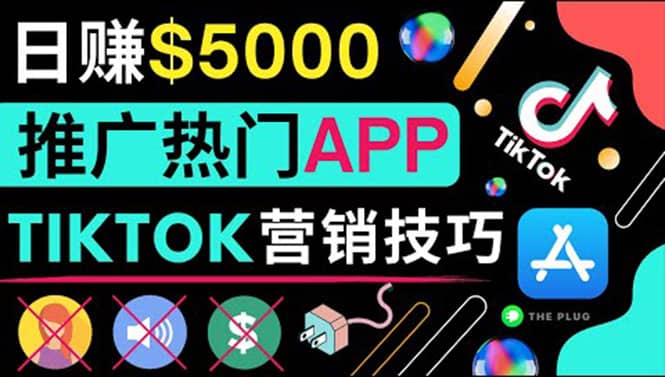 无需露脸，无需录音，无需投资，TIKTOK上传短视频，最高日入5000美元网赚项目-副业赚钱-互联网创业-独家轻创IP星泽云创
