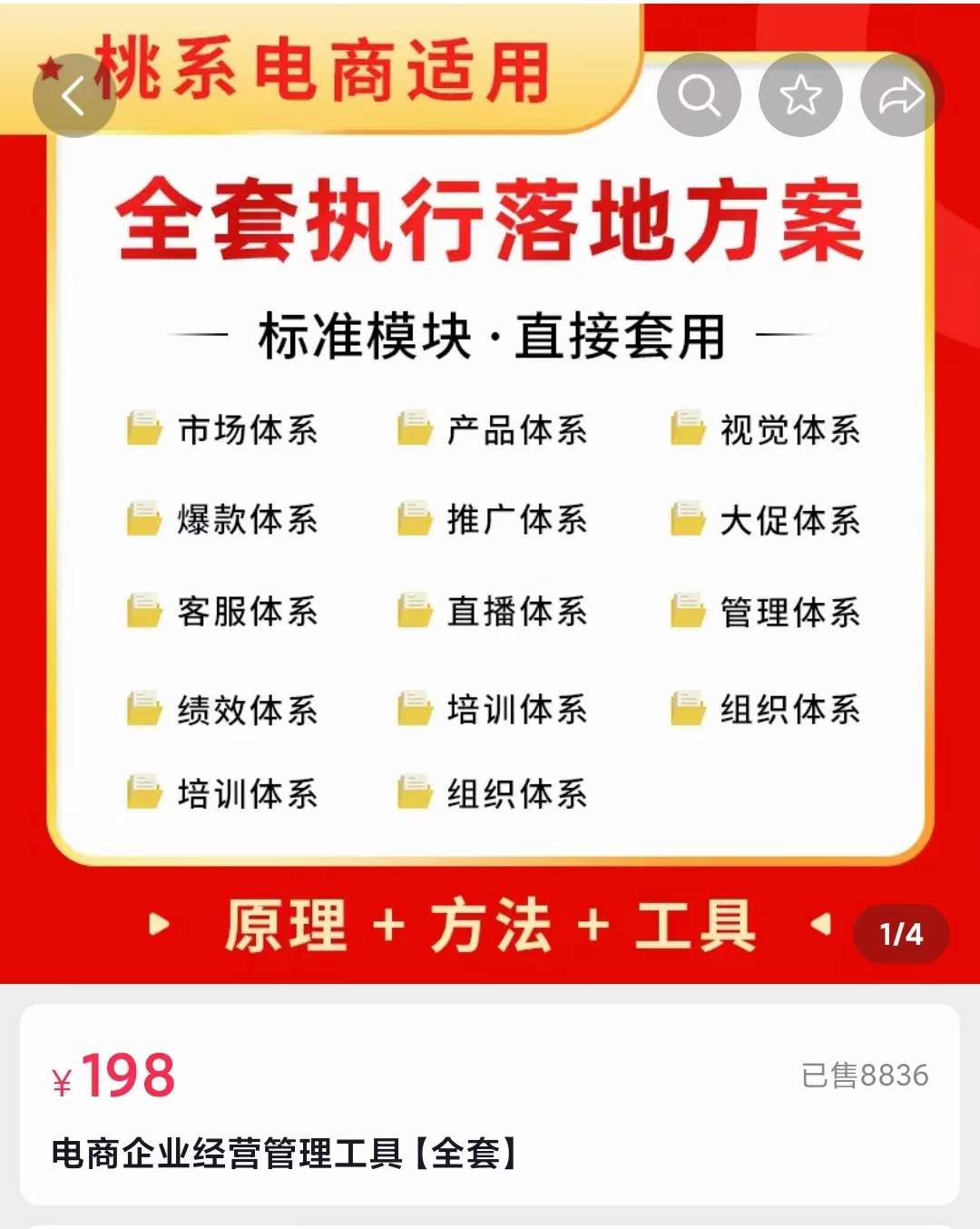 外面卖198·电商企业经营管理工具：全套执行落地方案 标准模块·直接套用网赚项目-副业赚钱-互联网创业-独家轻创IP星泽云创