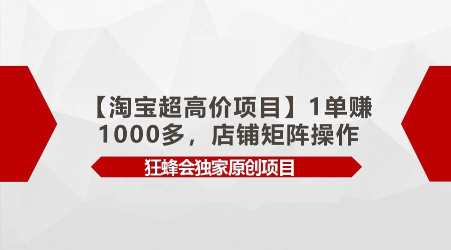 【淘宝超高价项目】1单赚1000多，店铺矩阵操作网赚项目-副业赚钱-互联网创业-独家轻创IP星泽云创