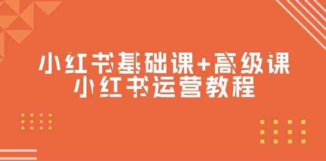 小红书基础课+高级课-小红书运营教程（53节视频课）网赚项目-副业赚钱-互联网创业-独家轻创IP星泽云创