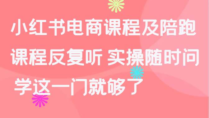 小红书电商课程及陪跑，课程反复听 实操随时问 学这一门就够了网赚项目-副业赚钱-互联网创业-独家轻创IP星泽云创
