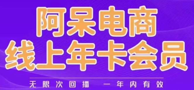 阿呆电商线上年会员，阿呆电商干货分享（更新中）网赚项目-副业赚钱-互联网创业-独家轻创IP星泽云创