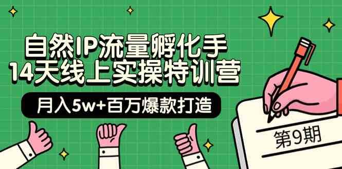 自然IP流量孵化手14天线上实操特训营【第9期】月入5w+百万爆款打造 (74节)网赚项目-副业赚钱-互联网创业-独家轻创IP星泽云创