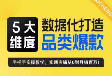 玺承·5大维度，数据化打造电商品类爆款特训营，一套高效运营爆款方法论网赚项目-副业赚钱-互联网创业-独家轻创IP星泽云创