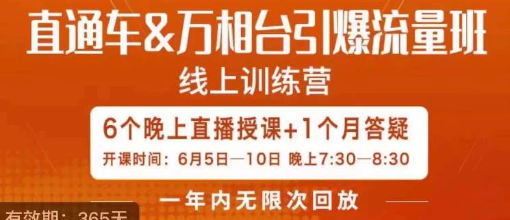 直通车&万相台引爆流量班，6天打通你开直通车·万相台的任督二脉网赚项目-副业赚钱-互联网创业-独家轻创IP星泽云创
