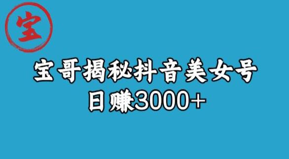 宝哥揭秘抖音美女号玩法，日赚3000+【揭秘】网赚项目-副业赚钱-互联网创业-独家轻创IP星泽云创