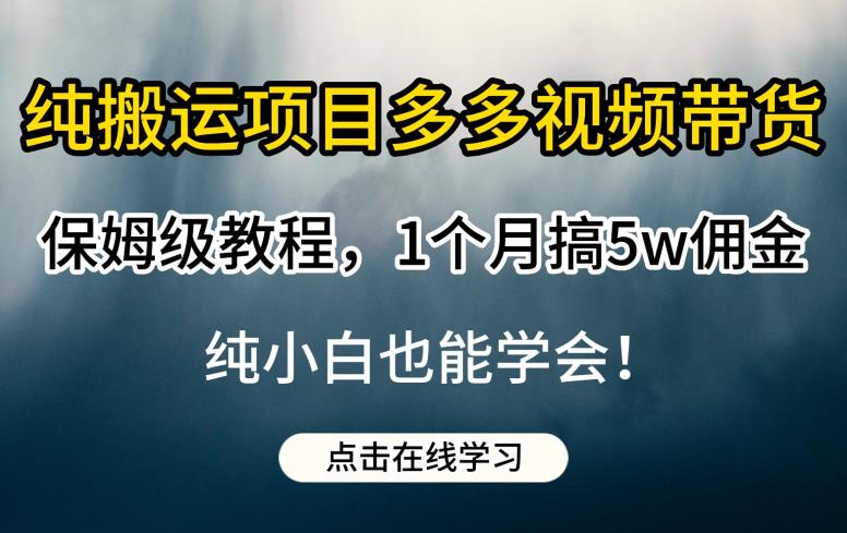 纯搬运项目多多视频带货保姆级教程，1个月搞5w佣金，纯小白也能学会【揭秘】网赚项目-副业赚钱-互联网创业-独家轻创IP星泽云创