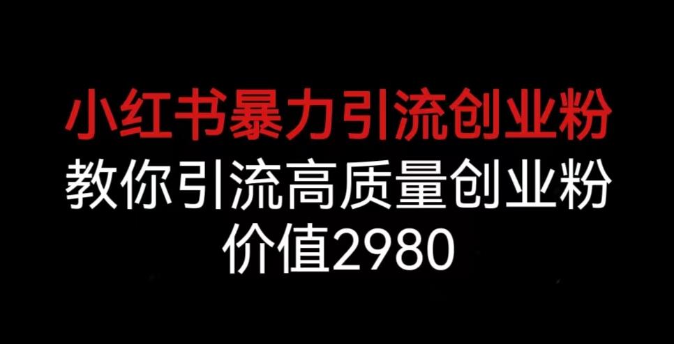 小红书暴力引流创业粉，教你引流高质量创业粉，价值2980【揭秘】网赚项目-副业赚钱-互联网创业-独家轻创IP星泽云创