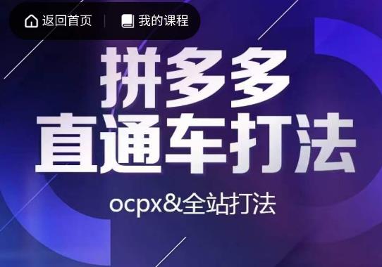 互力·拼多多直通车打法，ocpx&全站打法网赚项目-副业赚钱-互联网创业-独家轻创IP星泽云创