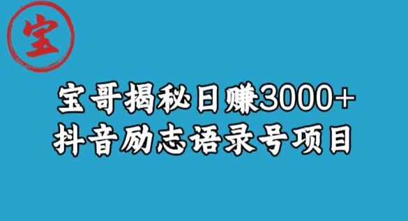 宝哥揭秘日赚3000+抖音励志语录号短视频变现项目网赚项目-副业赚钱-互联网创业-独家轻创IP星泽云创
