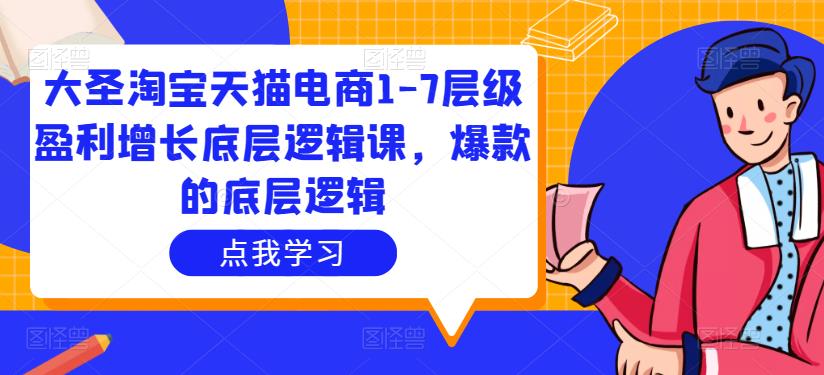 大圣淘宝天猫电商1-7层级盈利增长底层逻辑课，爆款的底层逻辑网赚项目-副业赚钱-互联网创业-独家轻创IP星泽云创