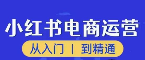 顽石小红书电商高阶运营课程，从入门到精通，玩法流程持续更新网赚项目-副业赚钱-互联网创业-独家轻创IP星泽云创