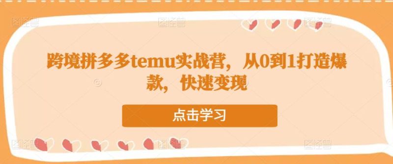 跨境拼多多temu实战营，从0到1打造爆款，快速变现网赚项目-副业赚钱-互联网创业-独家轻创IP星泽云创