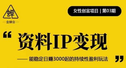 资料IP变现，能稳定日赚3000起的持续性盈利玩法网赚项目-副业赚钱-互联网创业-独家轻创IP星泽云创
