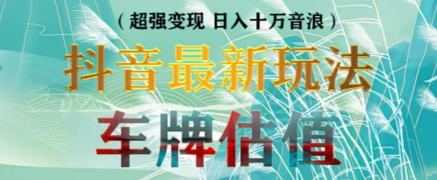 抖音最新无人直播变现直播车牌估值玩法项目，轻松日赚几百+【详细玩法教程】网赚项目-副业赚钱-互联网创业-独家轻创IP星泽云创