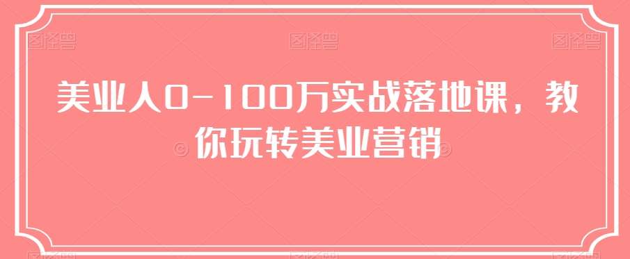 美业人0-100万实战落地课，教你玩转美业营销网赚项目-副业赚钱-互联网创业-独家轻创IP星泽云创