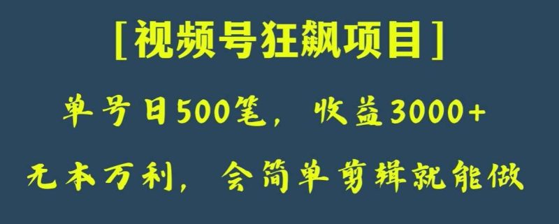 日收款500笔，纯利润3000+，视频号狂飙项目，会简单剪辑就能做【揭秘】网赚项目-副业赚钱-互联网创业-独家轻创IP星泽云创