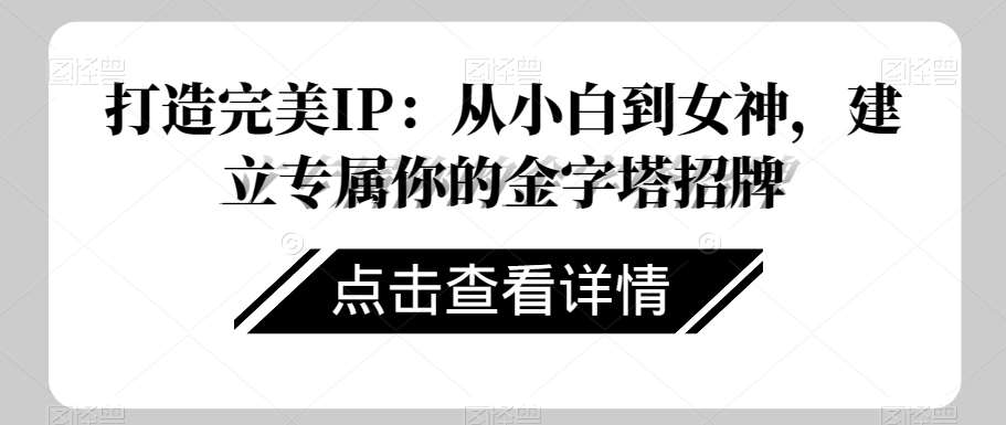 打造完美IP：从小白到女神，建立专属你的金字塔招牌网赚项目-副业赚钱-互联网创业-独家轻创IP星泽云创