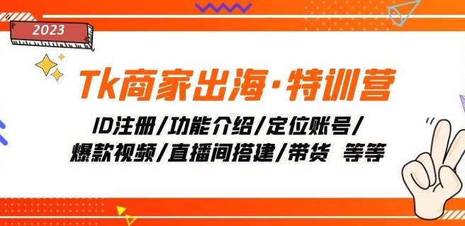 Tk商家出海·特训营：ID注册/功能介绍/定位账号/爆款视频/直播间搭建/带货网赚项目-副业赚钱-互联网创业-独家轻创IP星泽云创