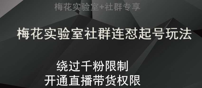 梅花实验室社群连怼起号玩法，视频号绕过千粉限制，开通直播带货权限【揭秘】网赚项目-副业赚钱-互联网创业-独家轻创IP星泽云创