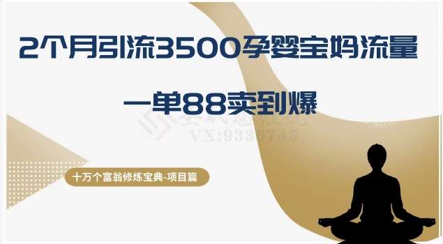 十万个富翁修炼宝典之13.2个月引流3500孕婴宝妈流量，一单88卖到爆网赚项目-副业赚钱-互联网创业-独家轻创IP星泽云创
