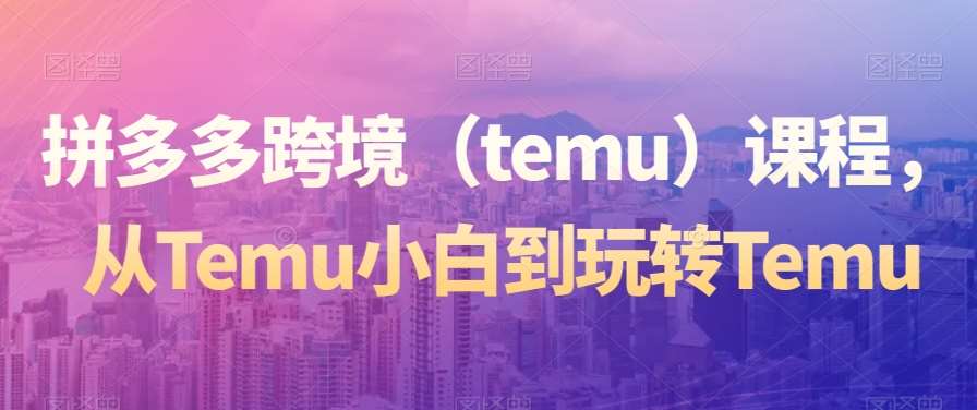 拼多多跨境（temu）课程，从Temu小白到玩转Temu网赚项目-副业赚钱-互联网创业-独家轻创IP星泽云创