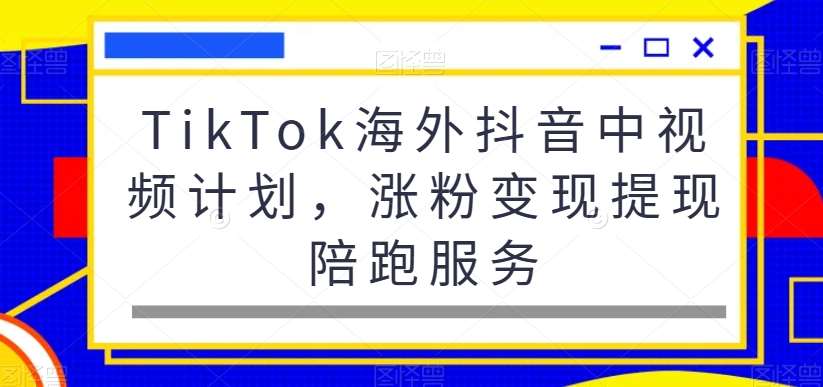 TikTok海外抖音中视频计划，涨粉变现提现陪跑服务网赚项目-副业赚钱-互联网创业-独家轻创IP星泽云创