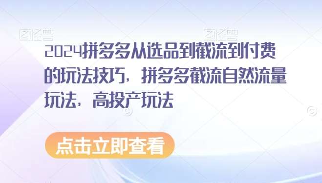 2024拼多多从选品到截流到付费的玩法技巧，拼多多截流自然流量玩法，高投产玩法网赚项目-副业赚钱-互联网创业-独家轻创IP星泽云创
