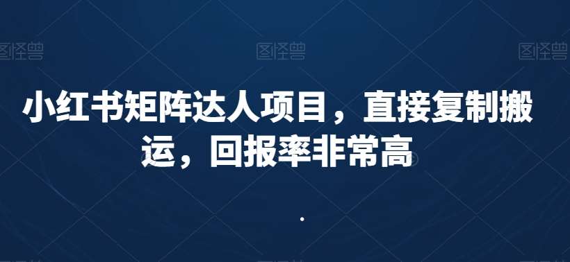 小红书矩阵达人项目，直接复制搬运，回报率非常高网赚项目-副业赚钱-互联网创业-独家轻创IP星泽云创