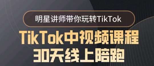 TikTok中视频课程30天线上陪跑，明星讲师带你玩转TikTok网赚项目-副业赚钱-互联网创业-独家轻创IP星泽云创