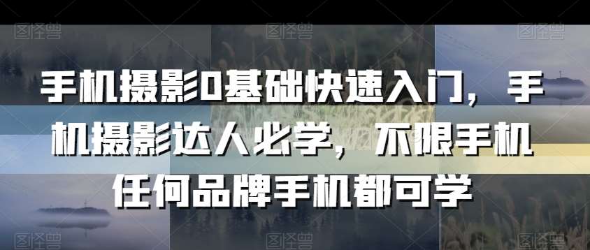 手机摄影0基础快速入门，手机摄影达人必学，不限手机任何品牌手机都可学网赚项目-副业赚钱-互联网创业-独家轻创IP星泽云创