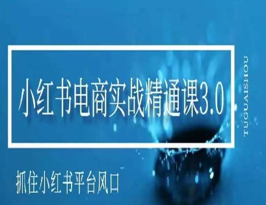 小红书电商实战精通课3.0，抓住小红书平台的风口，不错过有一个赚钱的机会网赚项目-副业赚钱-互联网创业-独家轻创IP星泽云创