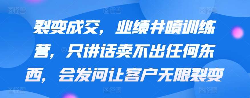 裂变成交，业绩井喷训练营，只讲话卖不出任何东西，会发问让客户无限裂变网赚项目-副业赚钱-互联网创业-独家轻创IP星泽云创